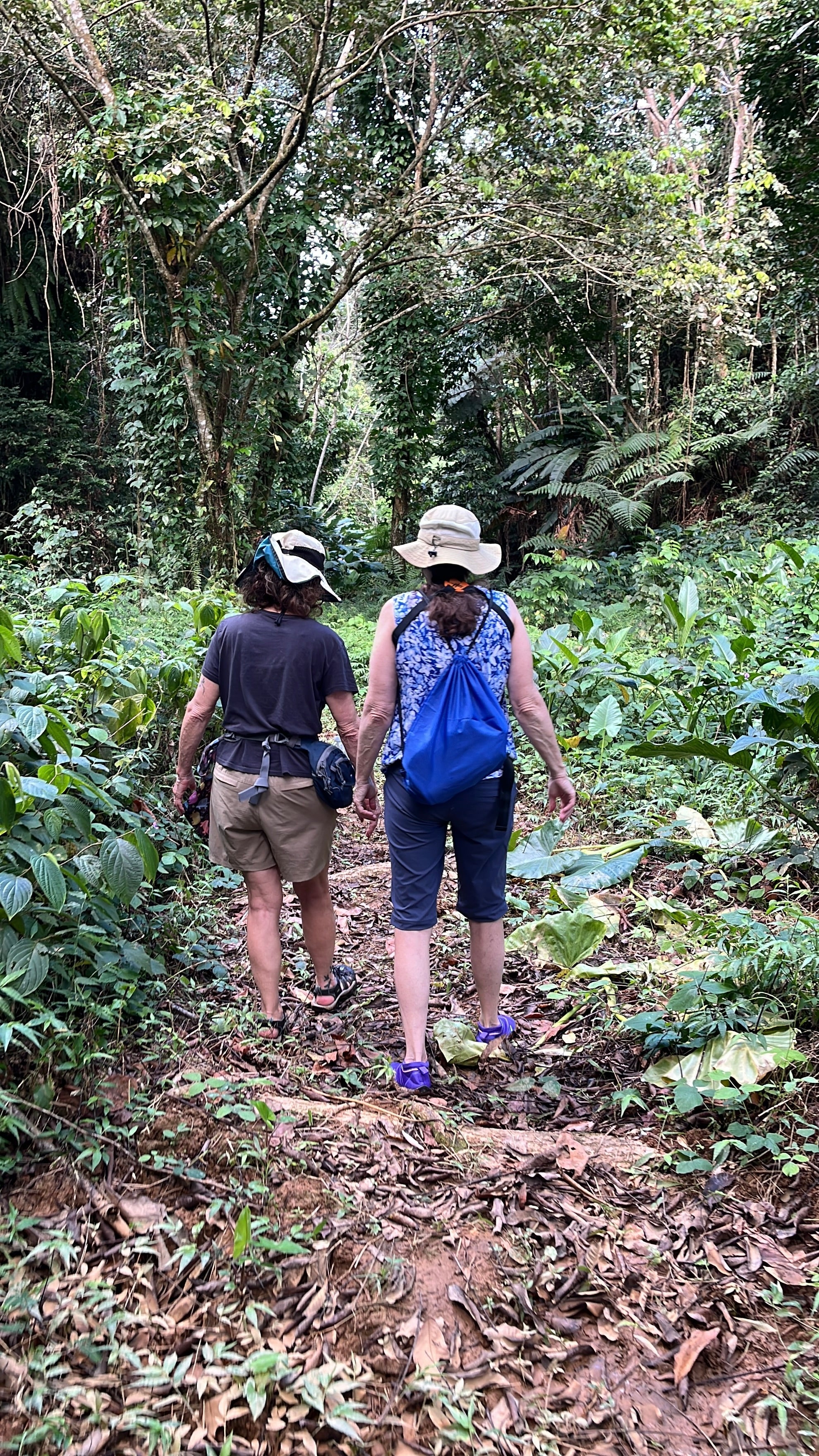 Nature & Exploration
