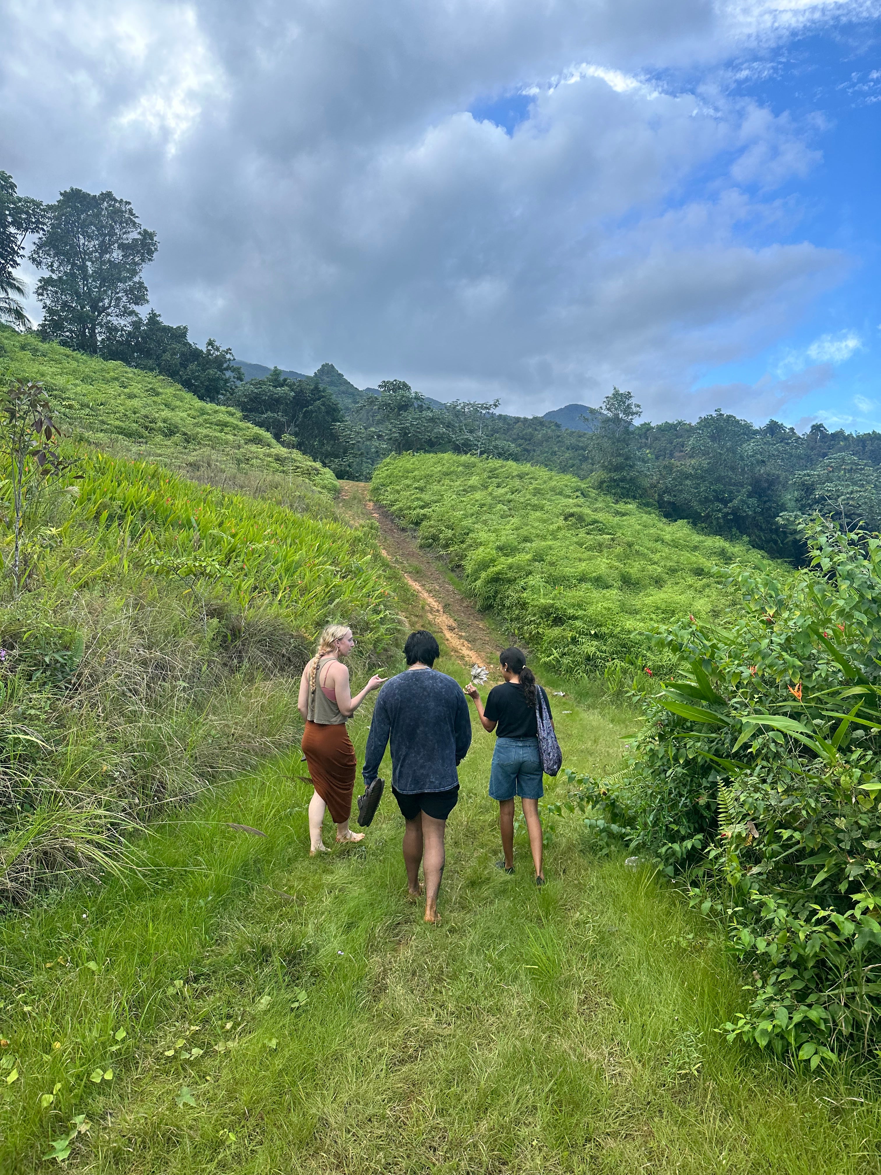 Nature Walk and Craft