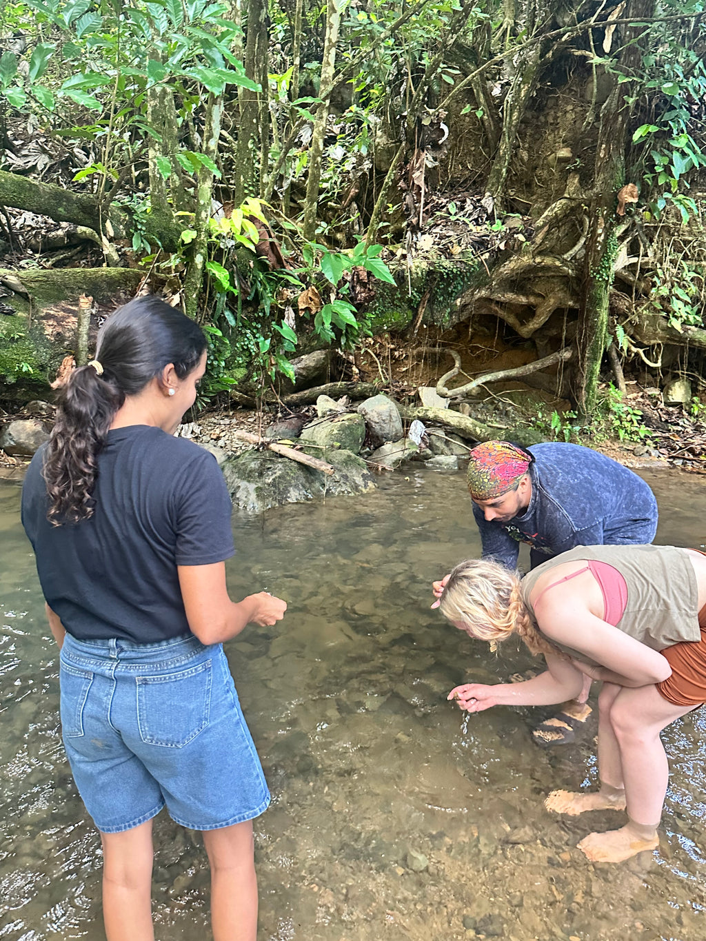 Nature Walk and Craft