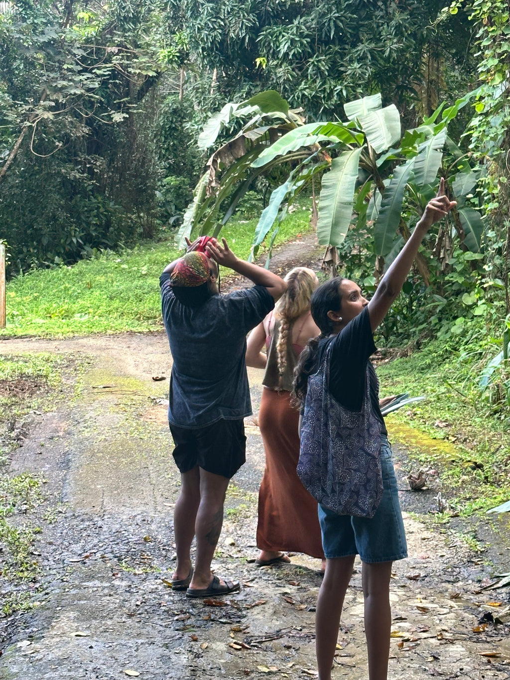 Nature Walk and Craft