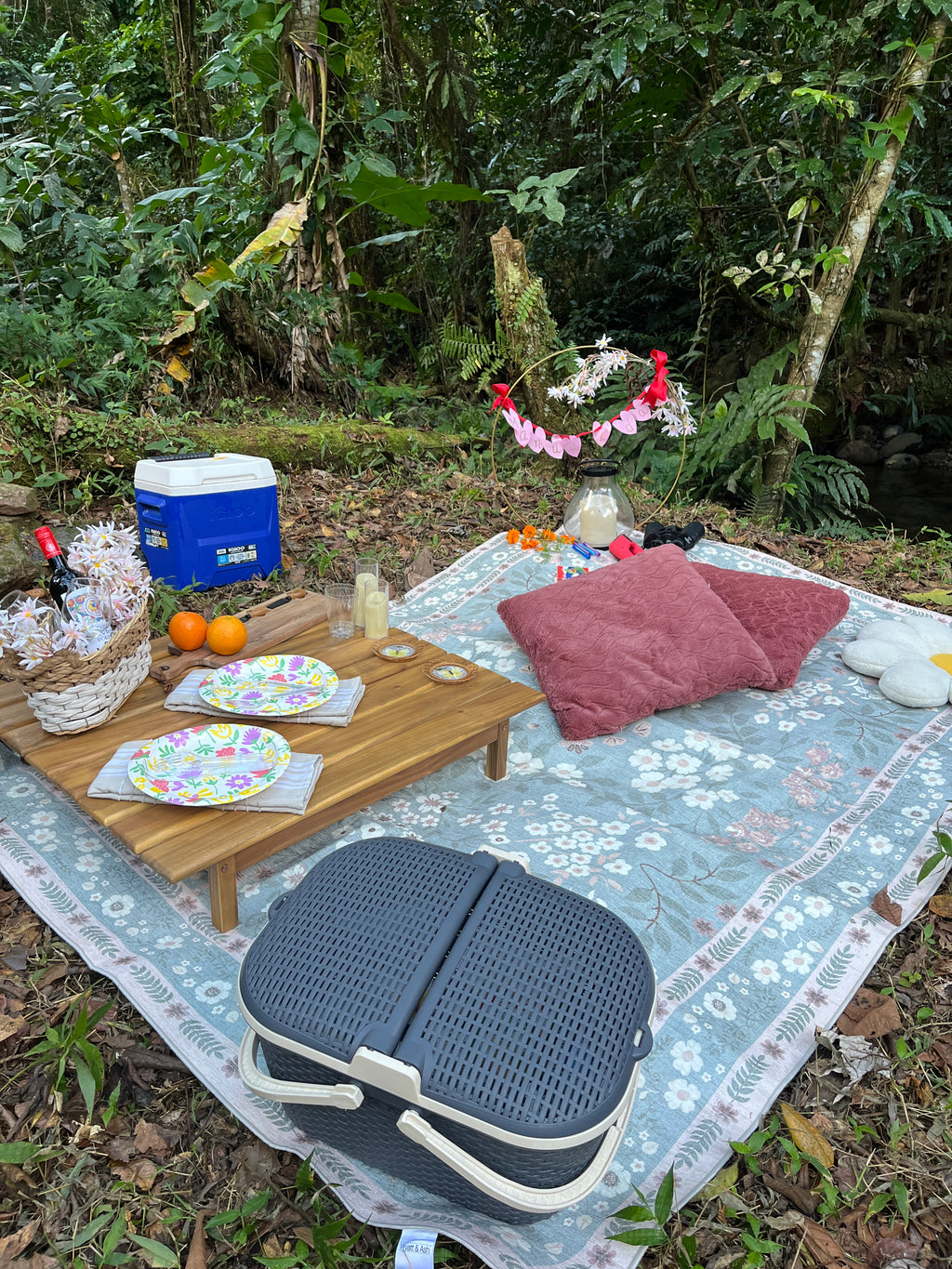 Riverside Romance Picnic Experience
