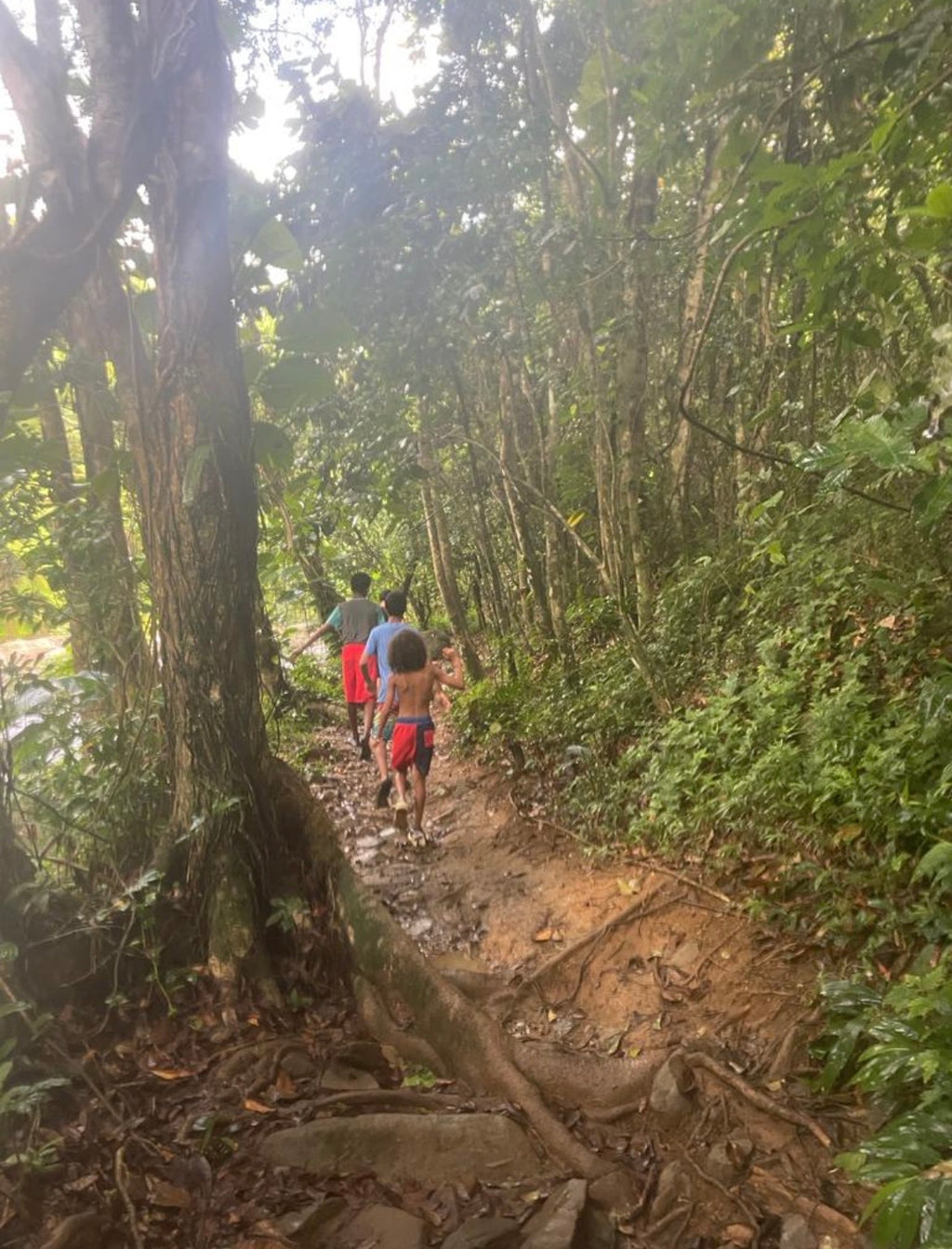 Las Tinajas Tour at Eastside El Yunque Rainforest